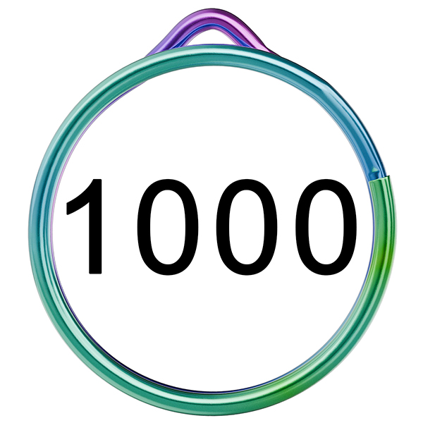 1000 Rainbow EzySplitz Rings