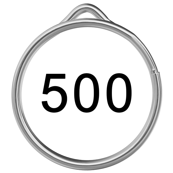500 Silver EzySplitz Rings